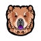 Chow Chow dog breed. Dog portrait. Chow Chow muzzle, face, head. Vector.