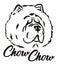 Chow Chow head black and white name