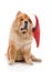 Chow-Chow in a red Santa Claus hat