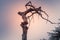 Christ`s crucifixion carved into a tree in Lebanon
