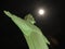 Christ statue with full moon and black sky. Icon of Christianity and Catholic faith exposed at Brazil, South America