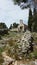 Christian church ruins near Spanjola Fortress, Hvar Croatia