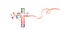 Christian cross with hummingbirds isolated vector illustration. Religion themed background. Design for Christianity, prayer and ca