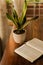 Christian devotional time showing a house plant with an open bible next to a open window