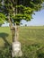 Christian metal crucifix in the countryside of Germany under a plant. Summertime. No people