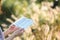 Christian reading a bible in the reed forest park on a sunny autumn day