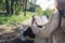 Christian woman holds bible in her hands. Reading the Bible in nature. Concept for faith, spirituality and religion