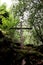 Christian wooden cross, amidst trees, vegetation, and moss-covered stones