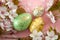 Christianity, spring religious holiday and Christian tradition concept theme with close up on a group of colorful Easter eggs dyed