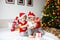 Christmas activity indoor: new year`s online shopping. Two little brothers in santa hats look at a tablet and choose gifts,