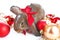 Christmas animals. Cute christmas rabbit. Rabbit bunny lop celebrate christmas with xmas bauble ornaments on isolated