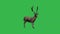 Christmas animation - reindeer, picture frame green, gifts, snowfall, additional reindeer to green screen