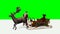 Christmas animation - santa, reindeer, sleigh 1 - green screen