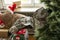 Christmas in the army. ball and gift box, military uniform, closeup view