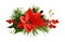 Christmas arrangement with red poinsettia flower , berries, cones and golden