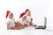 Christmas babies with laptop