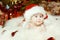 Christmas Baby Portrait, Happy Crawling Kid, Smiling Child Boy