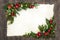 Christmas Background Border