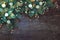 Christmas background with border of fluffy green fir branches on a textured dark brown wood