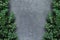 Christmas background with borders of fluffy green fir branches on a textured dark gray background