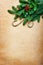 Christmas background with candy canes and spruce branch
