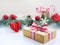 Christmas background with fir branches, decorations, gift