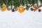 Christmas background with fir branches, orange fruits and snow