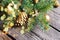 Christmas background with fir tree branches on wooden table