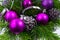 Christmas background with green fir branch and purple ornaments
