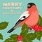 Christmas background and greeting card with bullfinch and holly