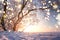 Christmas background. Magic glowing snowflakes in winter nature landscape. Beautiful winter scene with bokeh. Winter fairytale.