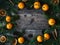 Christmas background with Mandarins, fir branches and pine cones
