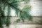 Christmas background with a natural pine branch