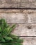 Christmas background, old wood texture, festive corner decorate. Pine fir leaf, twigs.