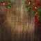 Christmas background with poinsettia, mistletoe,holly on grunge