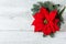 Christmas background with Poinsettia star flower