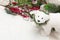 Christmas background with polar bear and christmas tree branches and snow