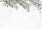 Christmas background with snow covered fir branches and red berries