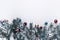 Christmas background with snow decorations and fir tree branch and balls on white top view with copy space