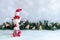 Christmas background with snowman, branches, ornaments , gingerbread man