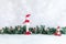 Christmas background with snowman, branches, ornaments , lanscape image