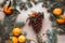 Christmas background with tangerines, fir branches, rowan berries and fir cone in snow. Winter holiday frame. Flat lay top view