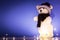 Christmas background, wallpaper with toy polar bear