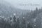 Christmas background with winter mountain covered in snow. Heavy snow fall on pine trees