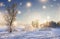 Christmas background. Winter nature landscape on sunny morning with magic glowing snowflakes. Shine of lights on Xmas