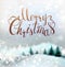Christmas background with winter snowy landscape and fir-trees. Holiday lettering.