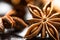 Christmas Baking Ingredients Cinnamon Sticks Anise Star Cloves Cardamom Scattered on Wood Background Macro of Details.