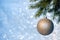 Christmas Ball on a Christmas Tree Branch