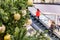 Christmas balls and garland on a decorated fir tree in Shopping Mall. Blurred people on escalator, in business center make New