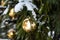 Christmas balls planted in a snowy pine branch